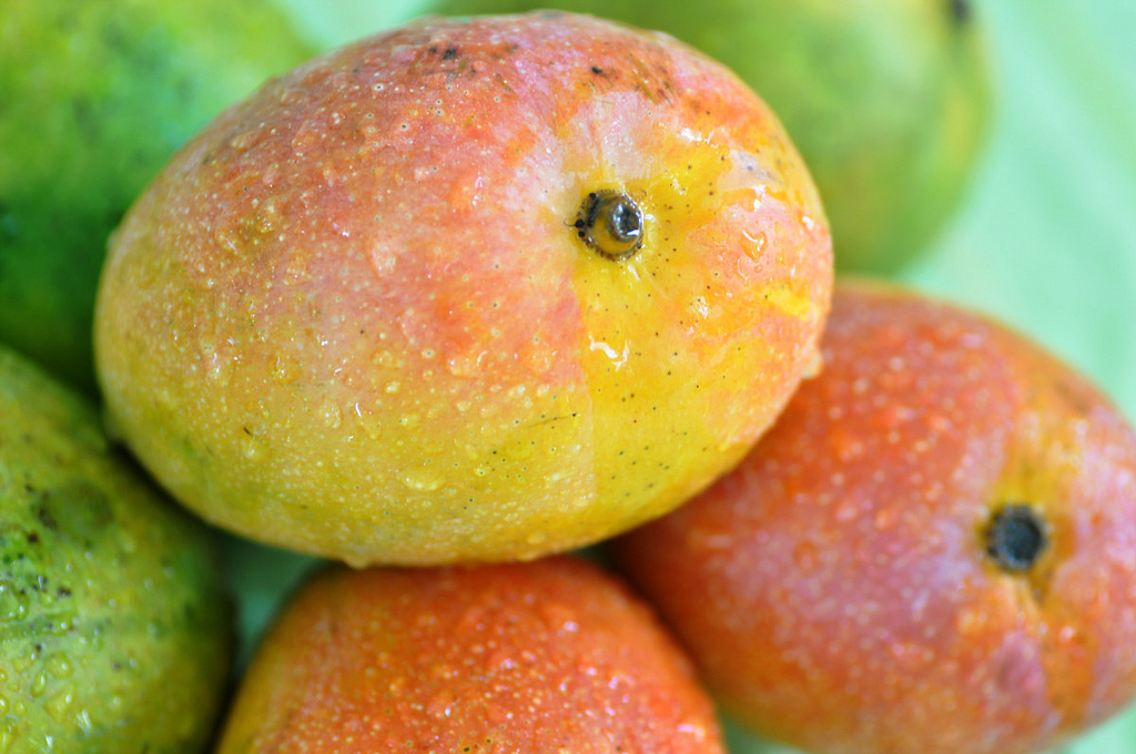 diabetics eat mango