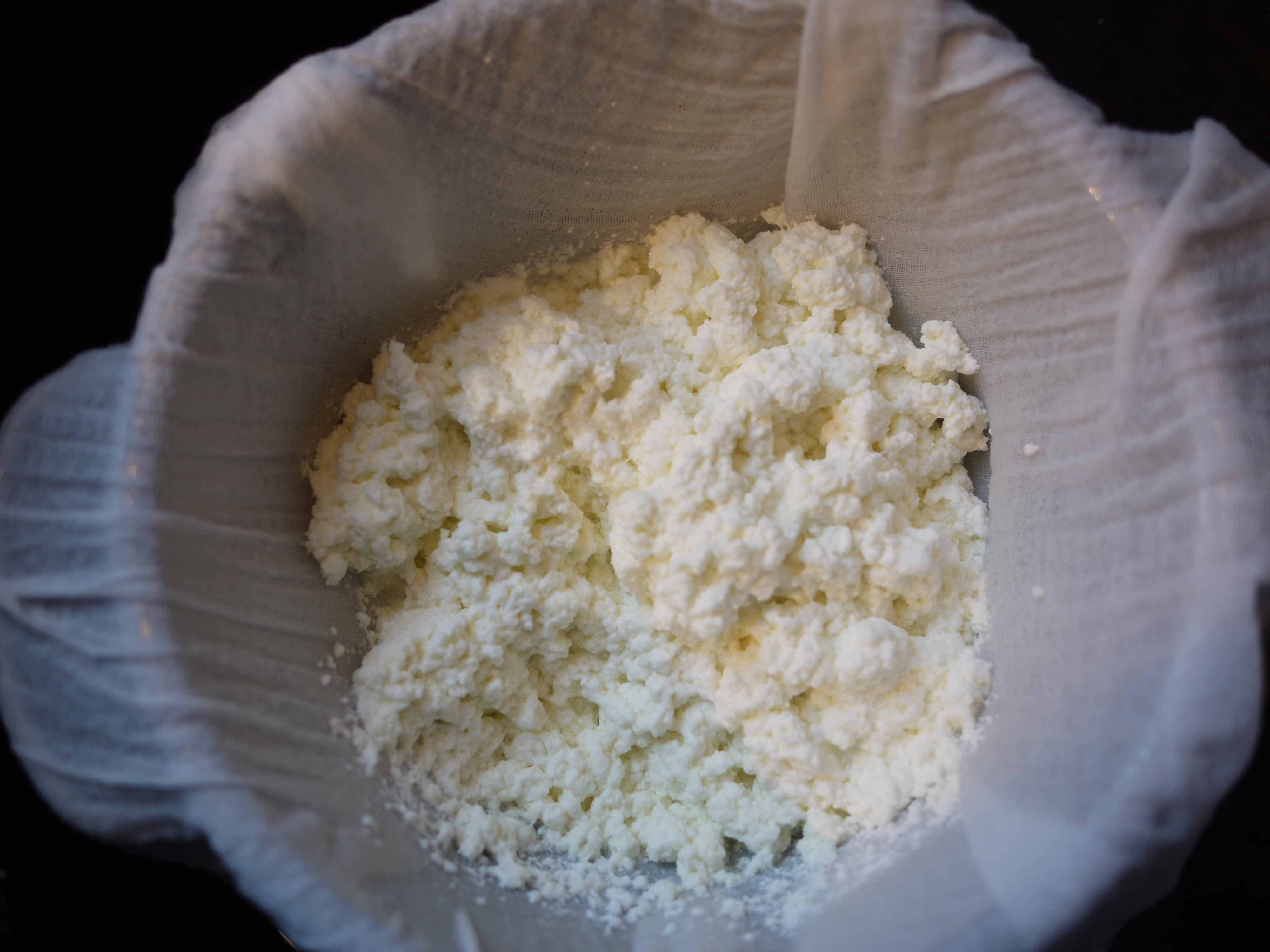 Image of dairy products preventing Vitamin B12 deficiency in vegeterians