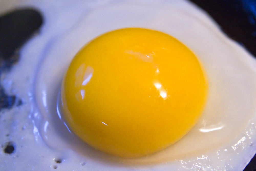 Image of egg yolk that is consumed to prevent Vitamin D deficiency