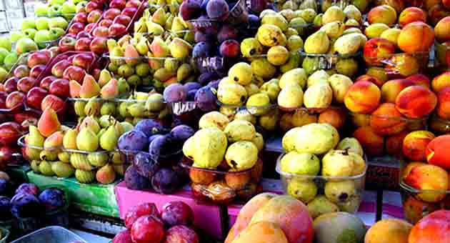 3934018598_6b77e251a8_o (1) copy.jpg