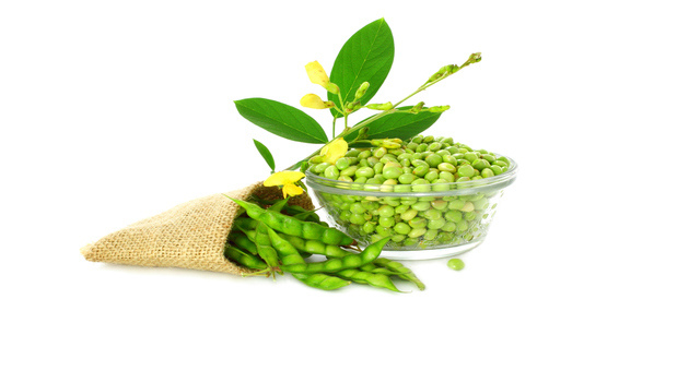 online shopping of medicines