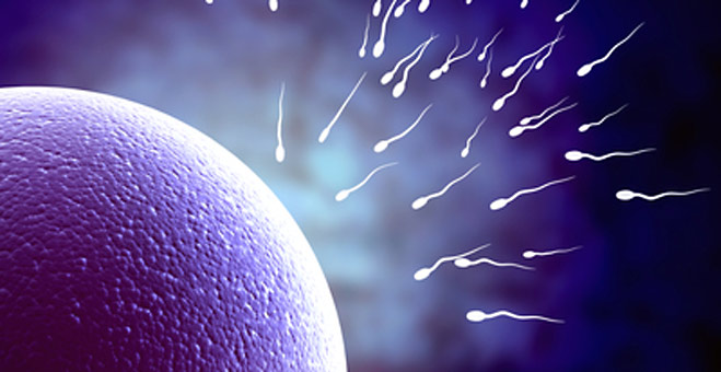 Take Charge Of Your Infertility With Homeopathy