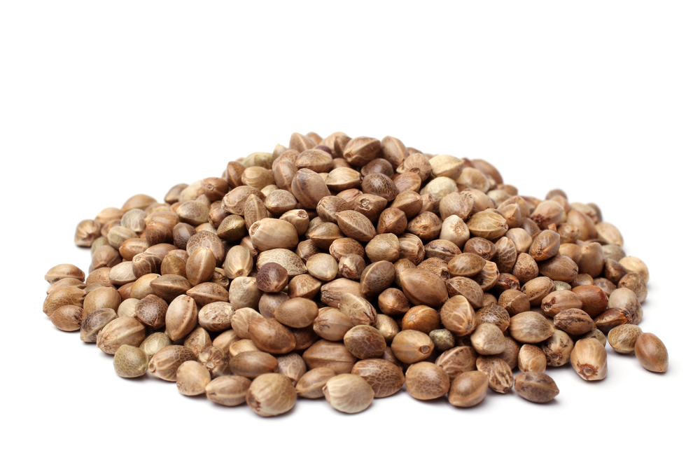Looking For Something To Munch? Try These 10 Healthy Seeds
