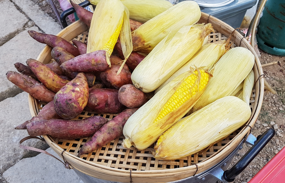 अपने मल का रंग देखकर जानें, आपको है कौन सी बीमारी ?