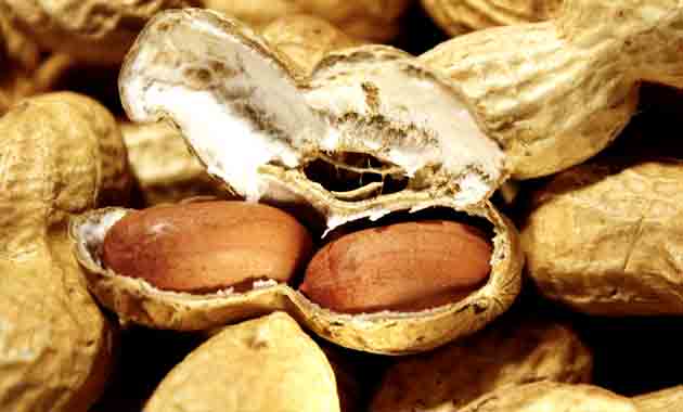 7 Amazing Health Benefits of Peanuts (Moongfali) - Tata 1mg Capsules