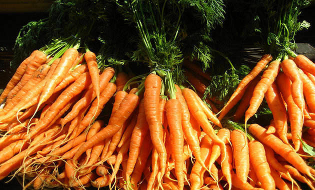 Stack of Carrot beneficial for good health