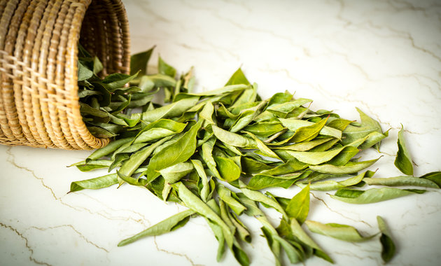 13 Benefits Of Curry Leaves  Healthier Steps