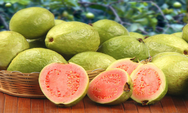 6 Reasons For You To Have Guavas (Amrood) This Winter Season! - 1mg Capsules