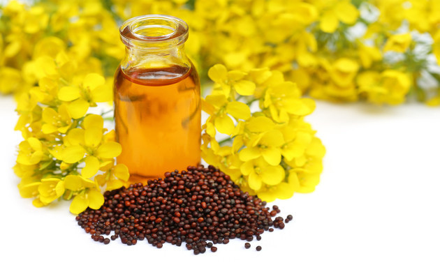 6 Surprising Health Benefits Of Mustard Oil - Tata 1mg Capsules
