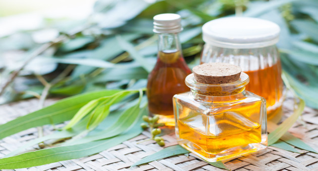 8 Amazing Benefits of Eucalyptus Oil for Hair  VedaOils USA