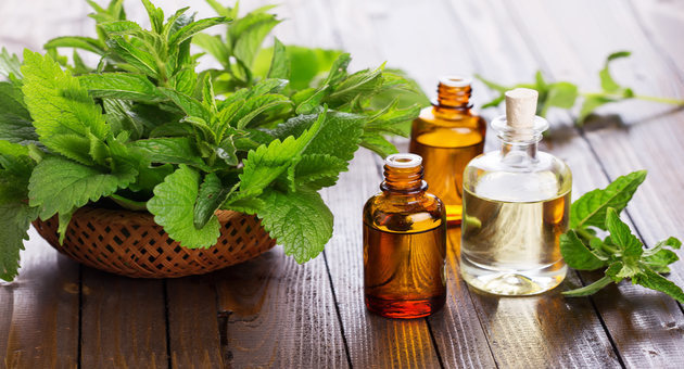 Here Is Why Peppermint Oil Is So Good For You