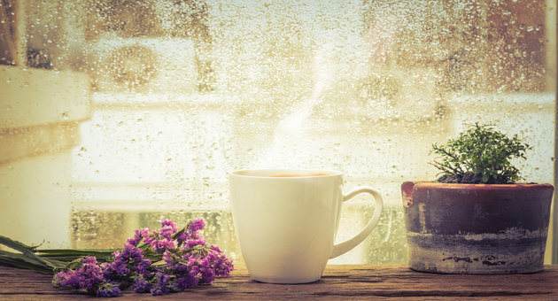 A Healthy Welcome To Monsoons: Common Diseases To Watch Out For