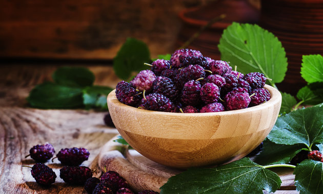 Health Benefits of Mulberries