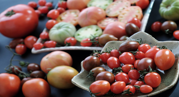 Carotenoid Rich Vegetables Found To Be Beneficial For The Elderly!