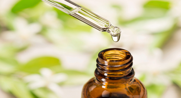 Prepare Yourself For The Mosquito Season: 5 Essential Oils To Keep Them Away!