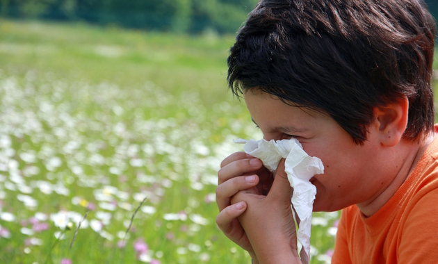 Homeopathic treatment for allergic rhinitis