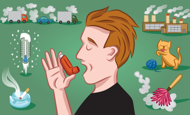 Image showing factors triggering asthma