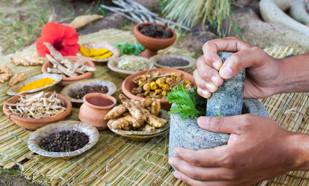 Image of all natural ingredients used in Ayurvedic healing