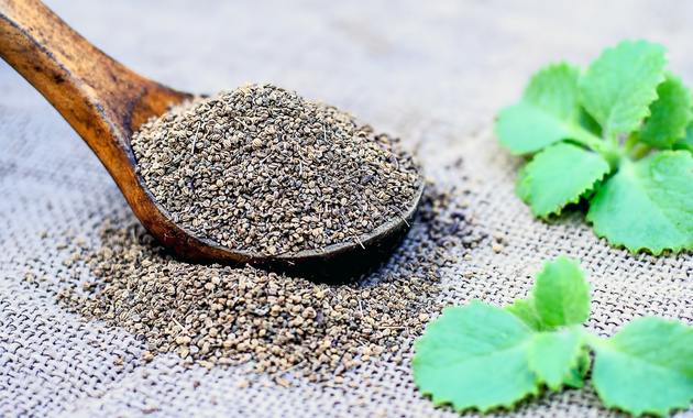 benefits and side effects of ajwain in hindi