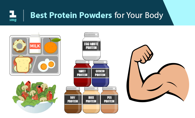 Best Protein Powders and their Benefits