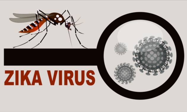 Zika virus