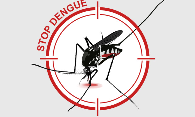 Stop-Dengue