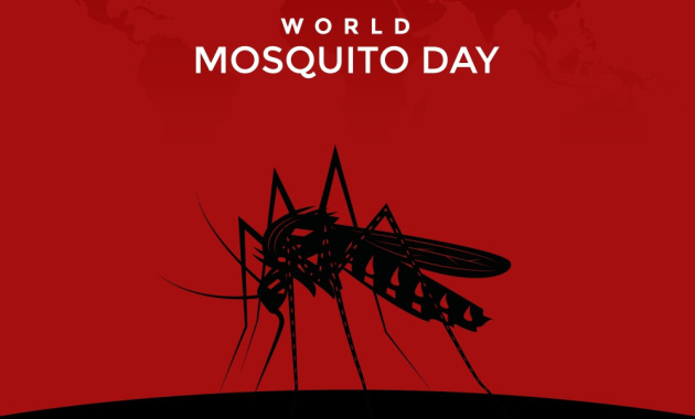 Mosquito day