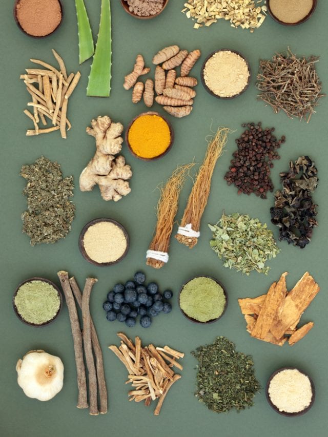 5 Herbs To Improve Your Immunity In Winter 5 Herbs To Improve Your Immunity In Winter