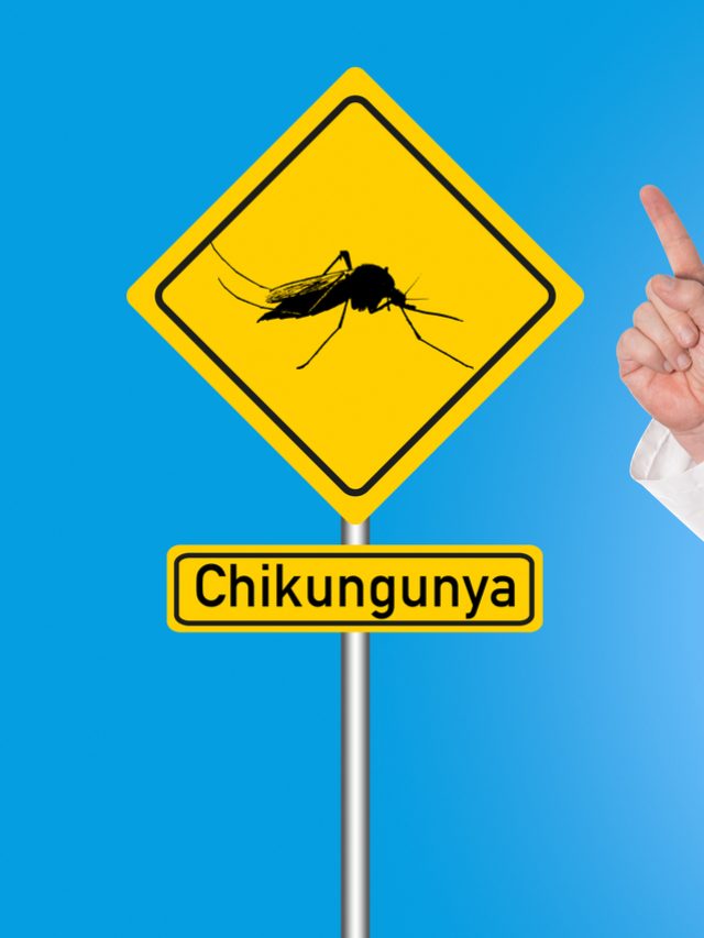 Chikungunya? Use Pain Killers With Caution