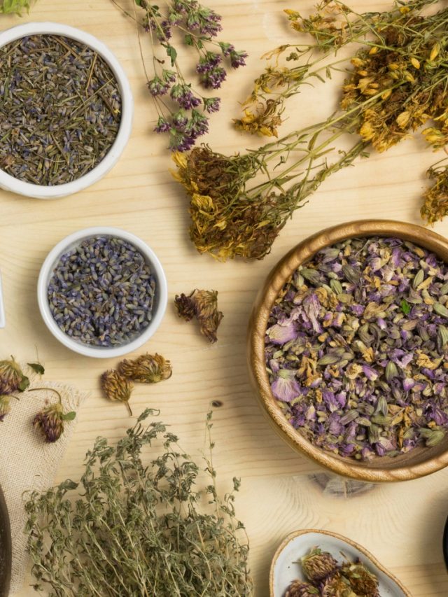 Top 7 Immunity-Enhancing Herbs