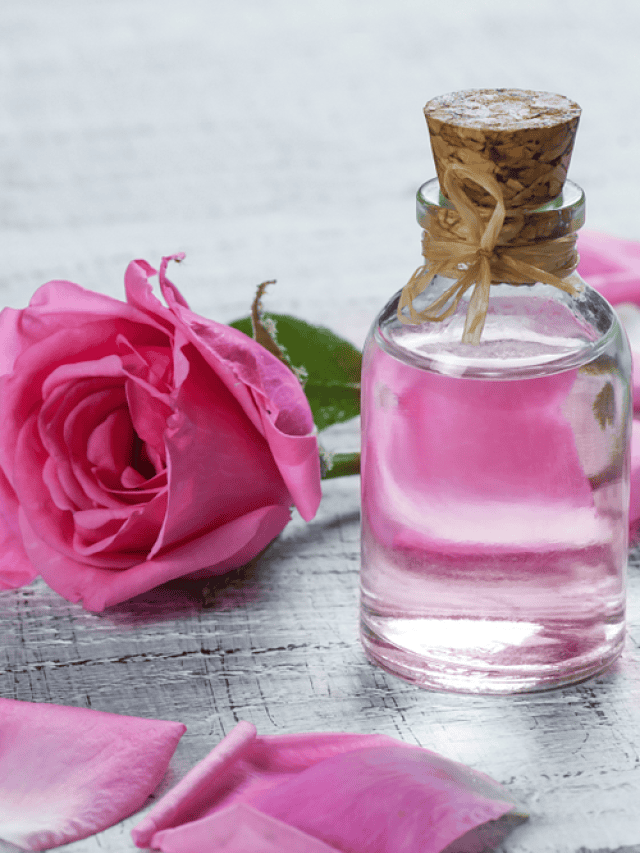 5 Ways To Use Rose Water For Glowing Skin In Winter 5 Ways To Use Rose Water For Glowing Skin In Winter