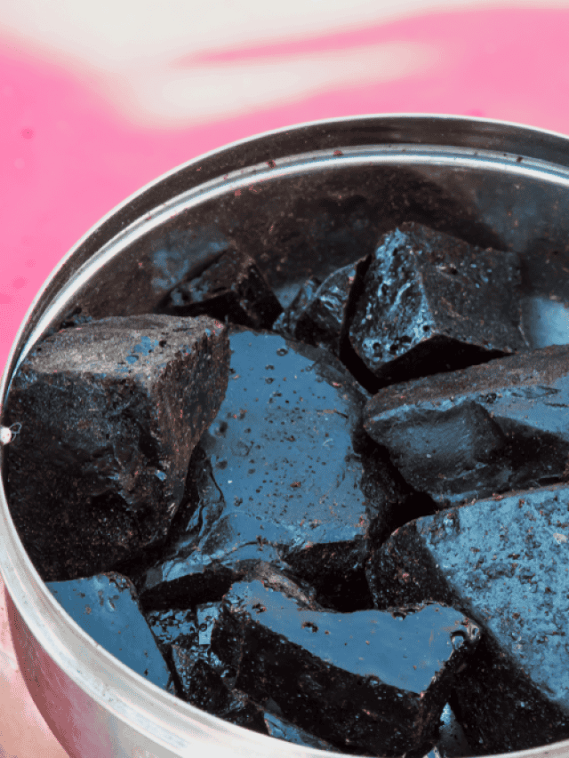 5 Benefits Of Shilajit For Women 5 Benefits Of Shilajit For Women