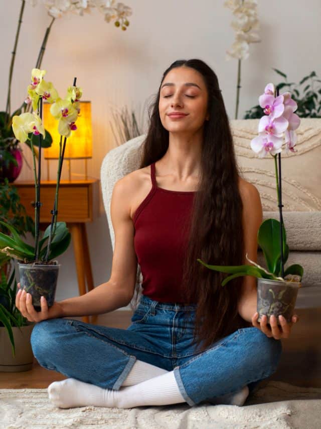 5 Ways To Detox Your Mind