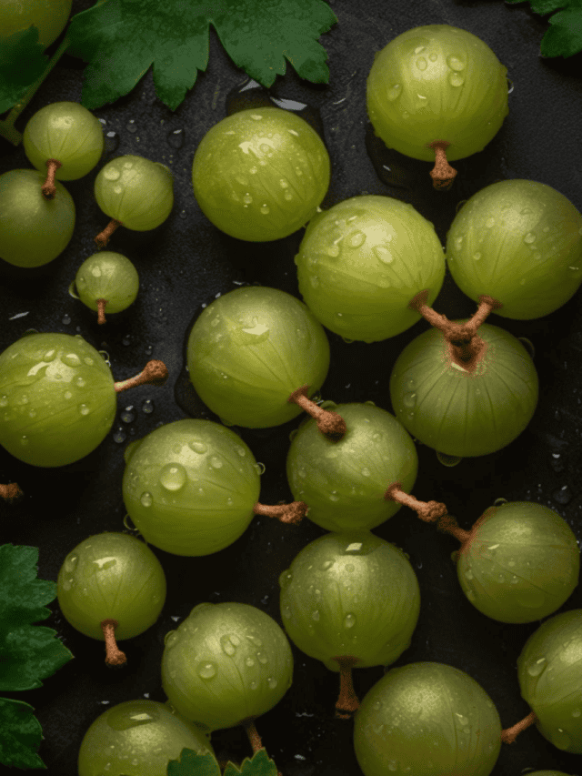 4 Ayurvedic Benefits Of Amla 4 Ayurvedic Benefits Of Amla