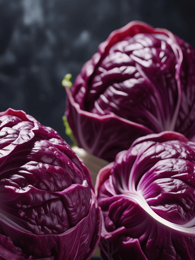 5 Benefits Of Purple Cabbage 5 Benefits Of Purple Cabbage