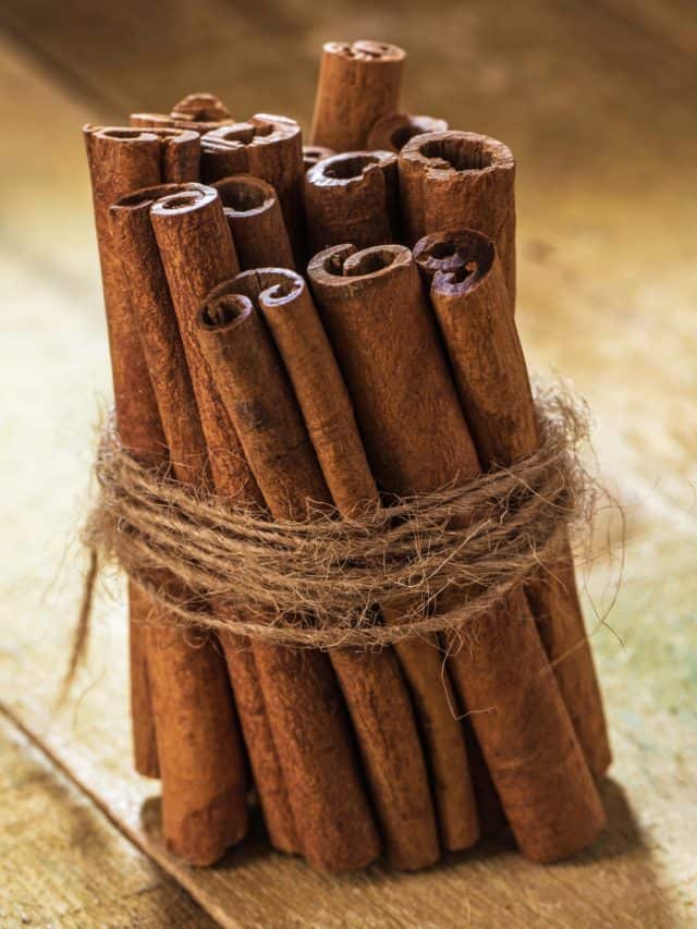 5 Reasons Women Need Cinnamon In Their Daily Life