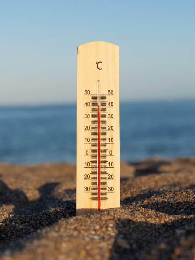 5 Foods To Avoid During Heat Waves 5 Foods To Avoid During Heat Waves