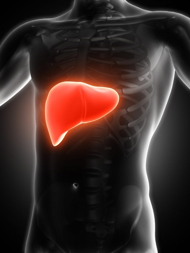 Ayurvedic Ways To Detox Your Liver Ayurvedic Ways To Detox Your Liver
