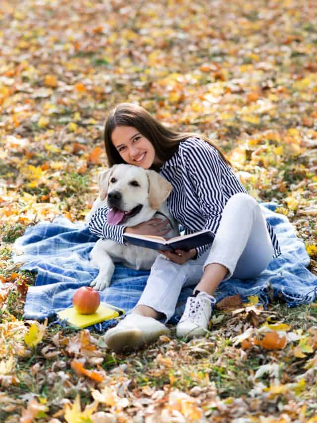 Keep your furry friends happy this winter with these superfoods Keep your furry friends happy this winter with these superfoods