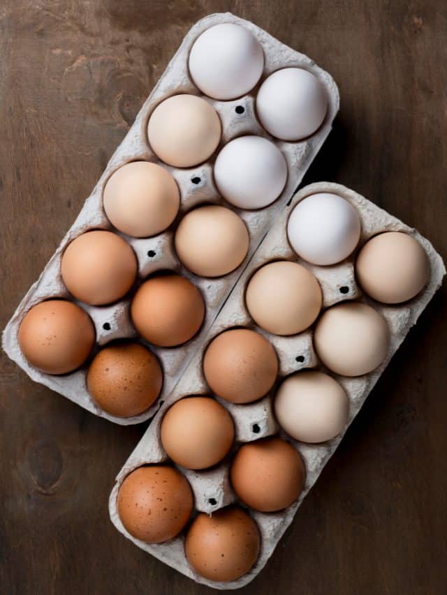 Reasons Why Eggs Should Be A Part Of  Your Daily Diet?