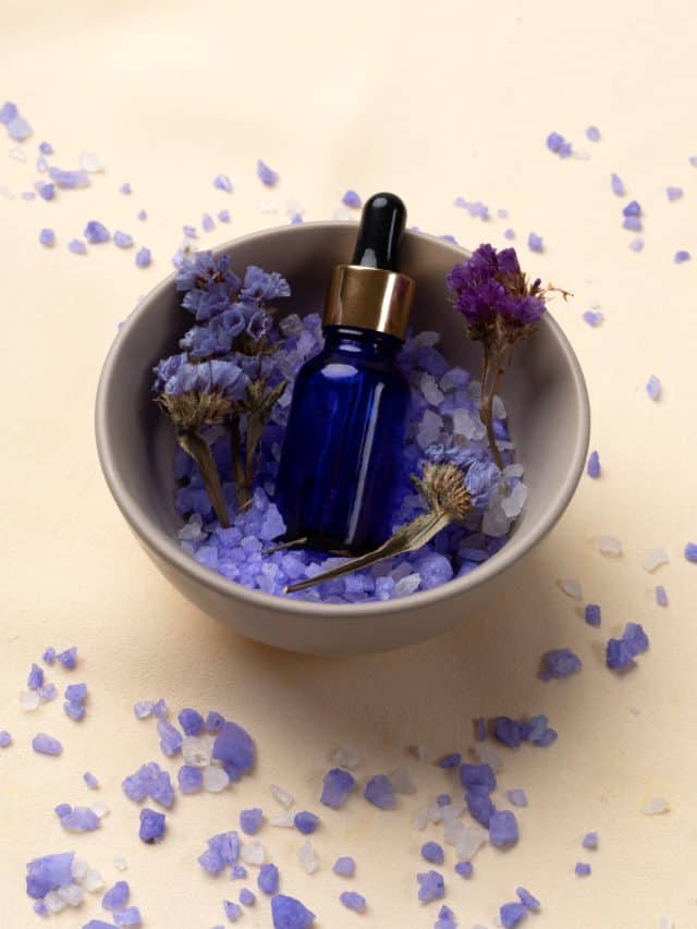 6 Benefits Of Lavender Oil For Hair & Ways To Use It 6 Benefits Of Lavender Oil For Hair & Ways To Use It