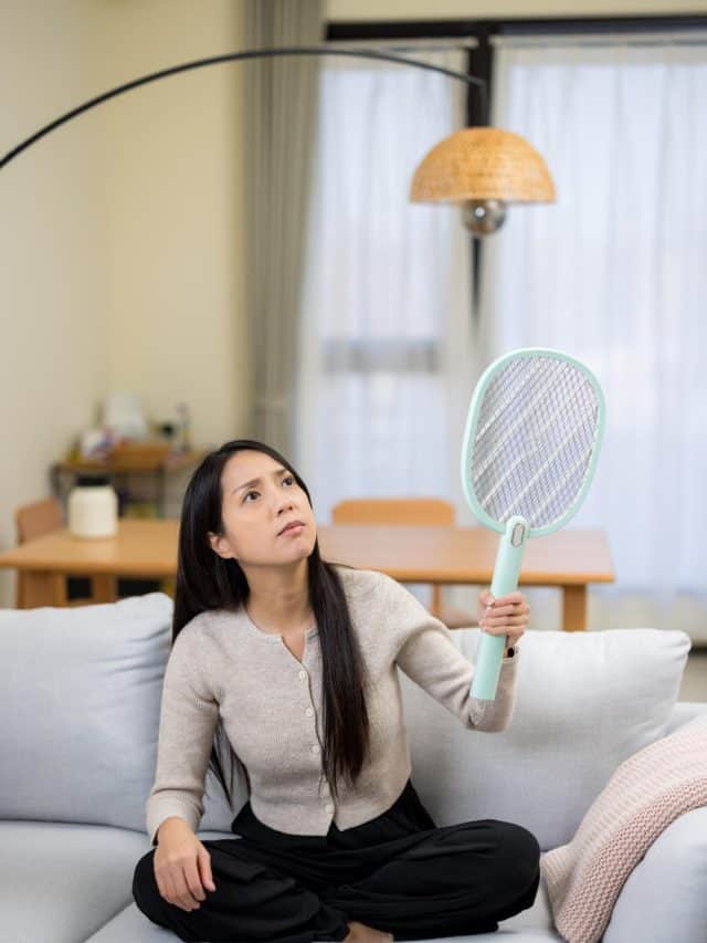 7 Tips To Prevent Dengue Infection