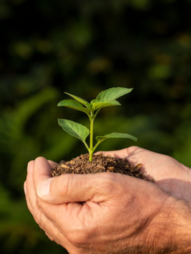 8 Eco-Friendly Habits That We All Should Adopt 8 Eco-Friendly Habits That We All Should Adopt