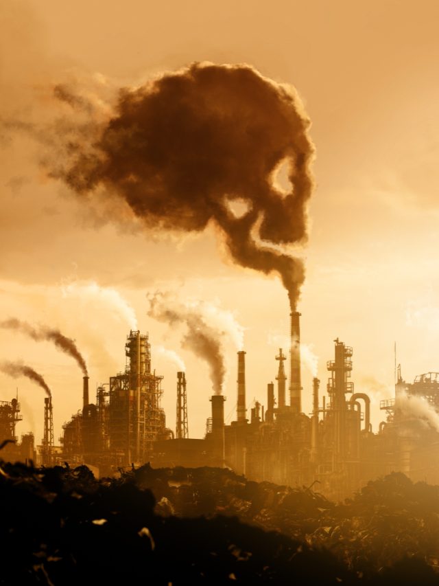 6 Harmful Effects Of Air Pollution On Health 6 Harmful Effects Of Air Pollution On Health