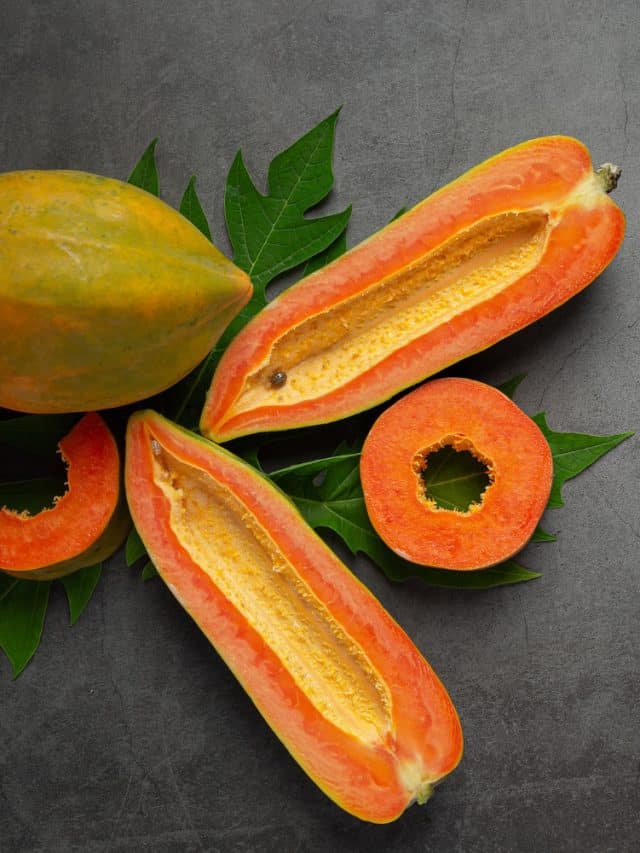 10 Health Benefits Of Papaya Leaves 10 Health Benefits Of Papaya Leaves