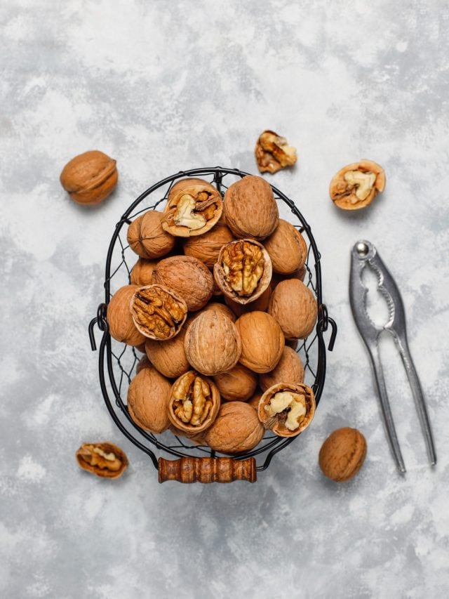 Omega-6 Rich Food And Their Benefits Omega-6 Rich Food And Their Benefits