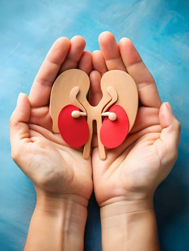 5 foods to help protect and heal your kidneys 5 foods to help protect and heal your kidneys