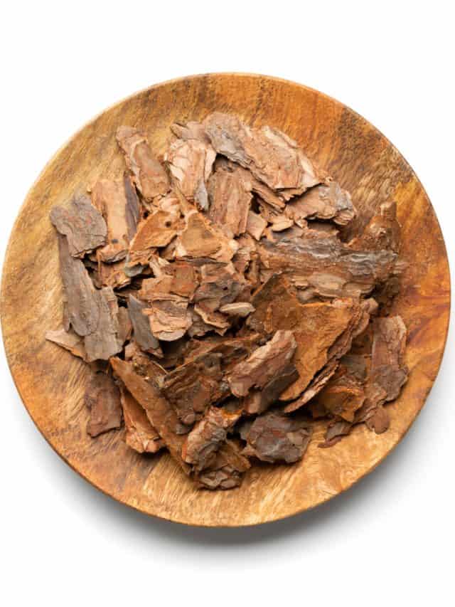 6 Health Benefits Of Drinking Arjuna Bark Water 6 Health Benefits Of Drinking Arjuna Bark Water