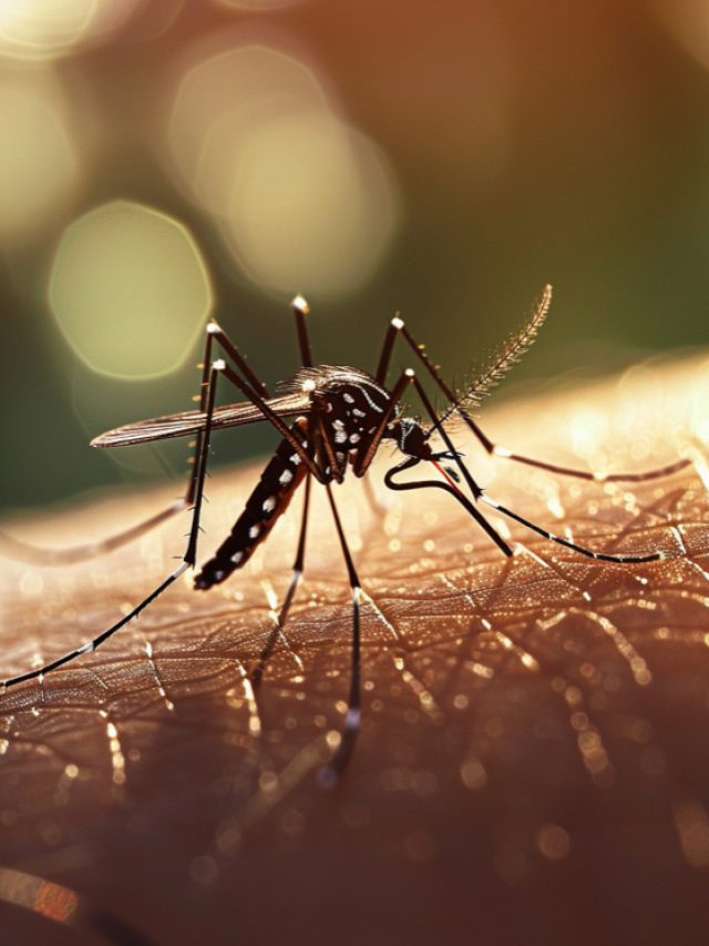 Things You Should Know About The Rising Zika Virus Cases In India