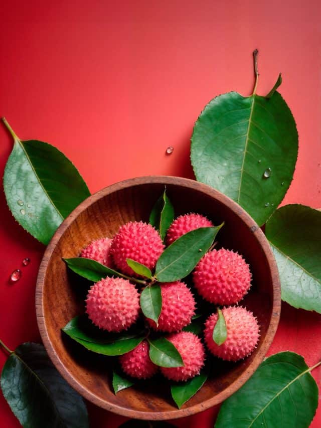 5 Side Effects Of Eating Too Many Litchis 5 Side Effects Of Eating Too Many Litchis